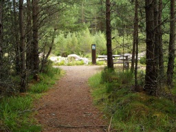 Image on trail